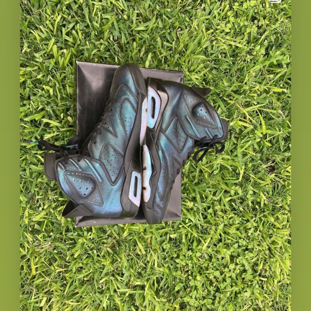 Jordan Retro Chamaeleon 6’s